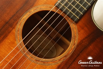 TGS2014 GSce-Koa